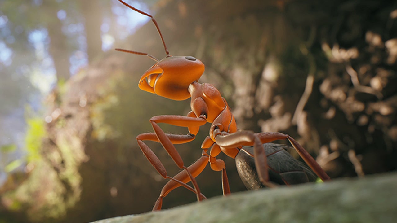 Empire of the Ants – фотореалистичная стратегия про муравьев №1