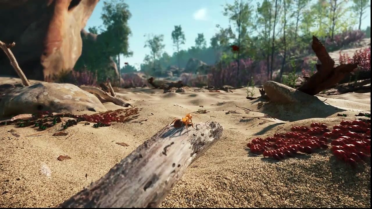 Empire of the Ants – фотореалистичная стратегия про муравьев №2